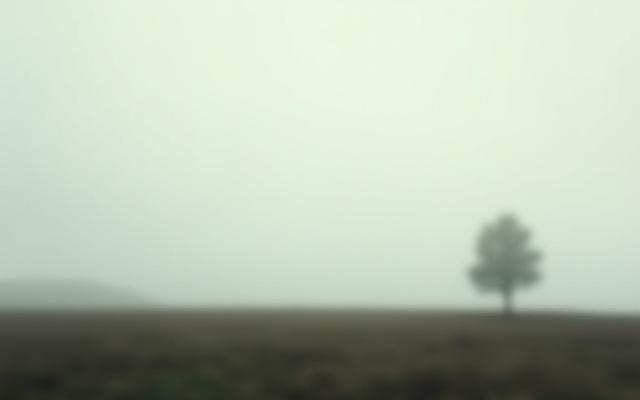 Before: Blurred, slightly off-focus minimalist landscape with muted tones